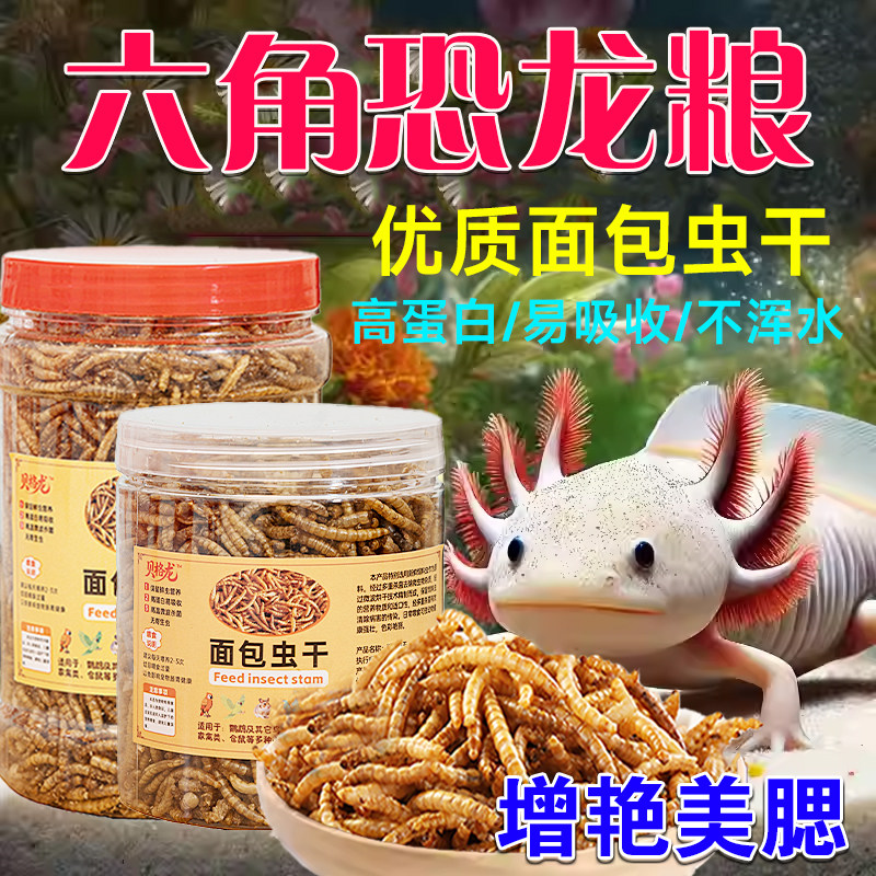 六角恐龙面包虫干蝾螈专用粮