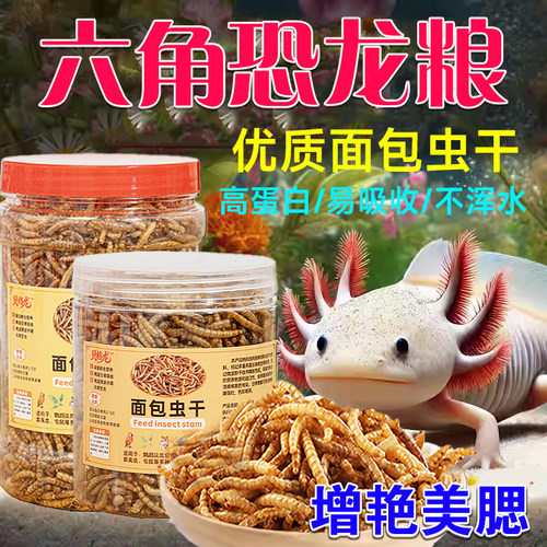 六角恐龙面包虫干蝾螈专用粮