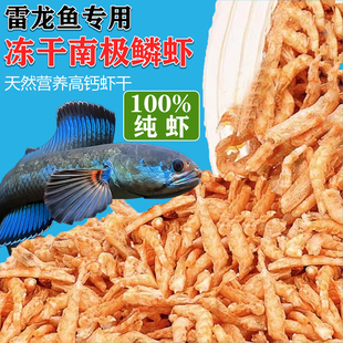 南极磷虾干雷龙鱼专用虾干热带鱼红鹦鹉罗汉锦鲤鱼食金银龙鱼饲料