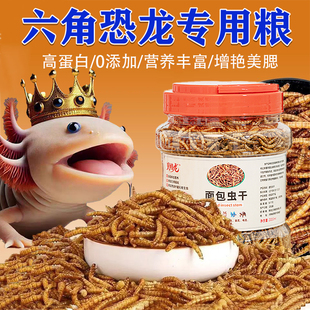 六角恐龙鱼饲料优质高蛋白面包虫干蝾螈口粮雷龙鱼观赏鱼增色鱼食