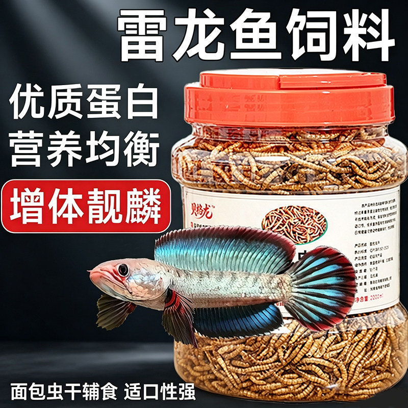 雷龙鱼饲料七彩阿萨姆黄金眼镜蛇奶茶高蛋白面包虫干虾干增色鱼食
