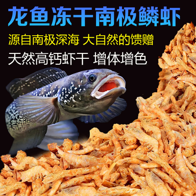 南极磷虾冻干雷龙鱼银龙乌龟龟粮