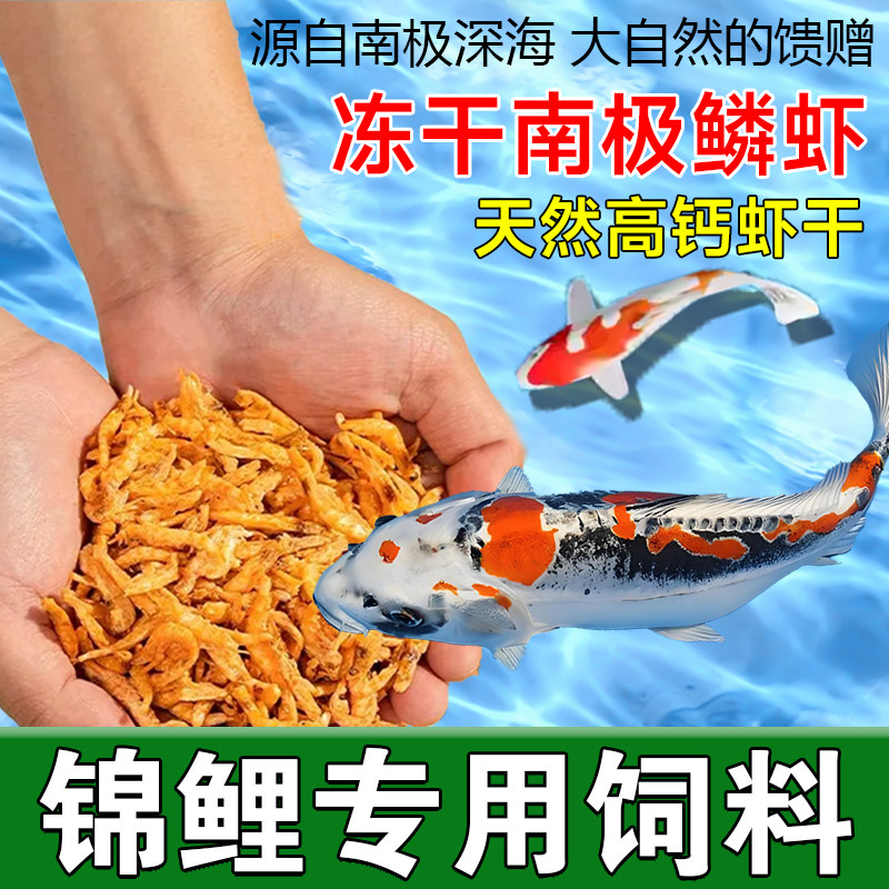 锦鲤鱼饲料高蛋白鱼粮观赏鱼饲料