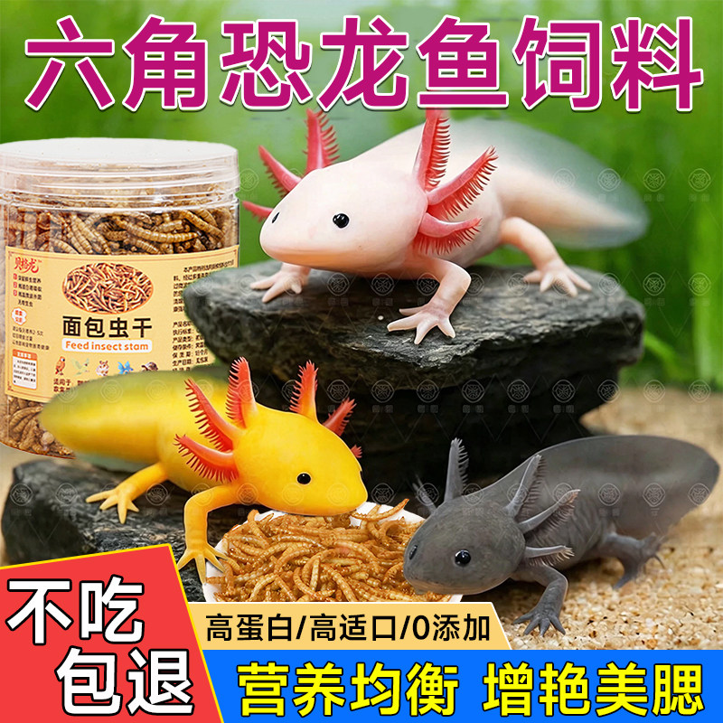 六角恐龙鱼饲料雷龙鱼食观赏鱼粮