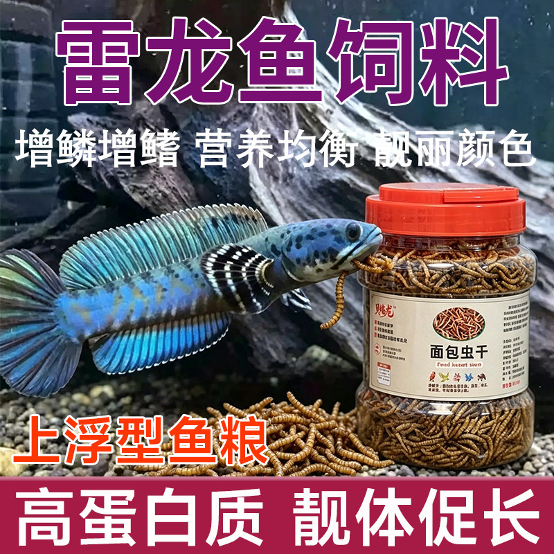 雷龙鱼饲料高蛋白面包虫增色鱼食