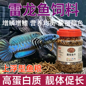 雷龙鱼饲料高蛋白面包虫增色鱼食