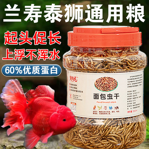 兰寿金鱼饲料泰狮锦鲤通用鱼粮