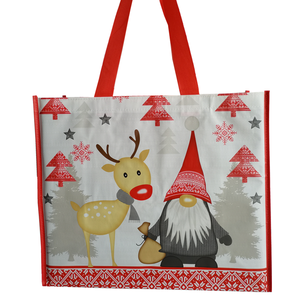 六件包邮出口环保袋德国dm超市购物袋横向大号折叠防水加厚双提手