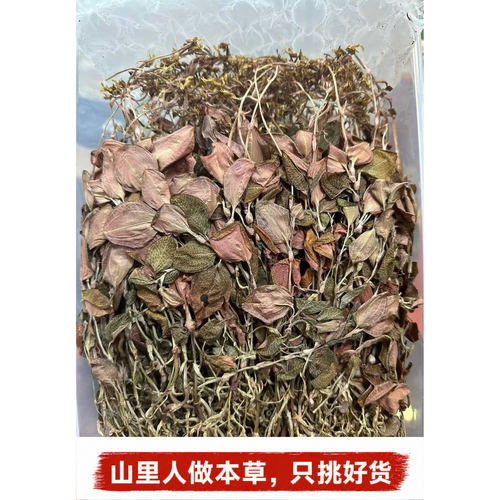 正宗林下金线莲整株干品中药材