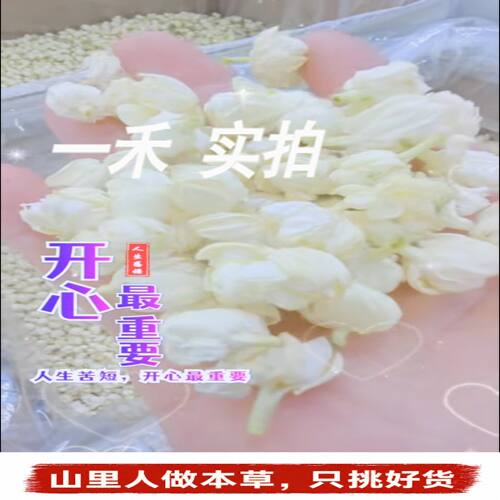 特级冻干无硫茉莉雪球250g冷泡