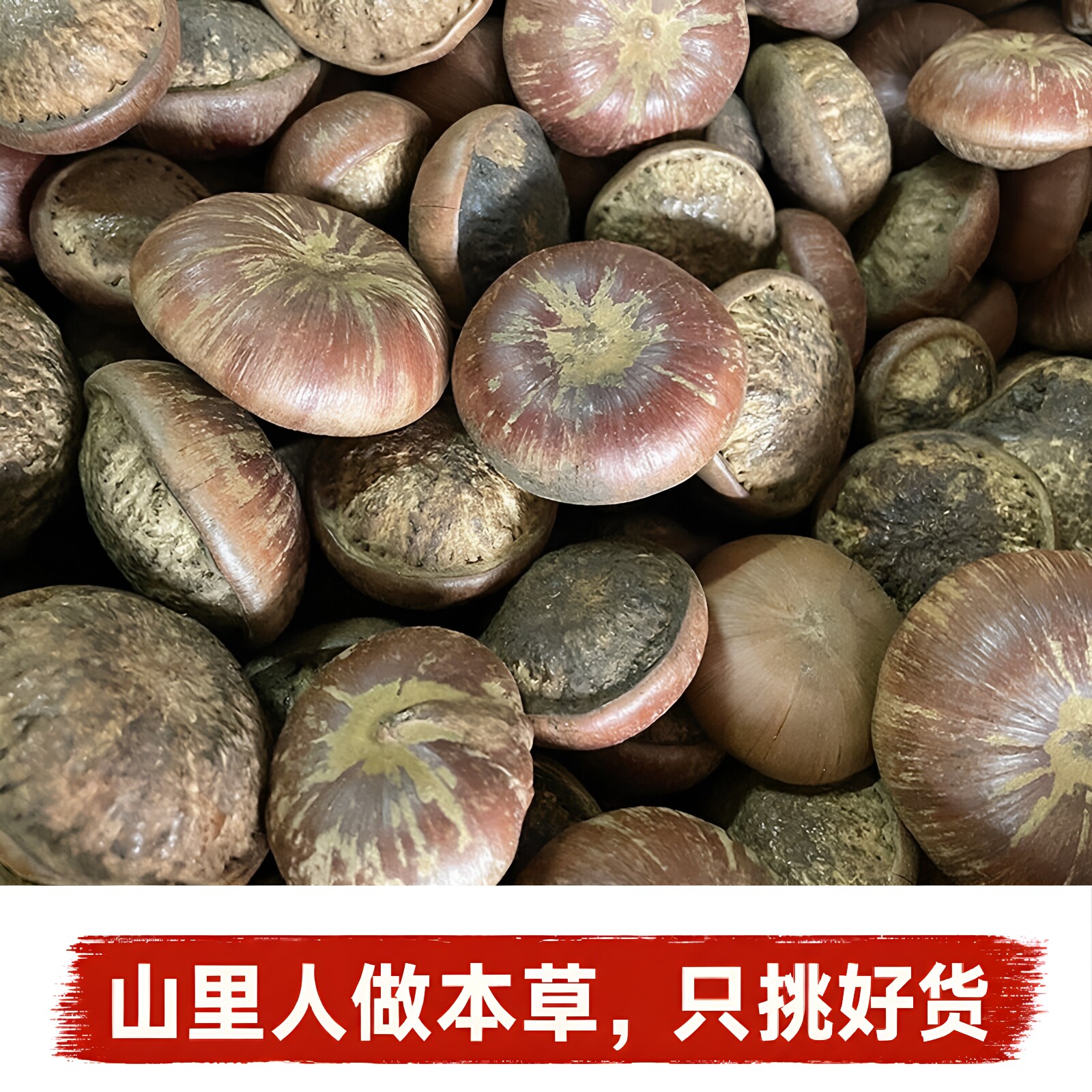 风流果】中药材龟头子阳果肾果泡酒料药材天竺粒掉藤果大货