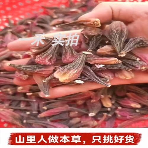 云南野生紫金龙冰球子250g树上果