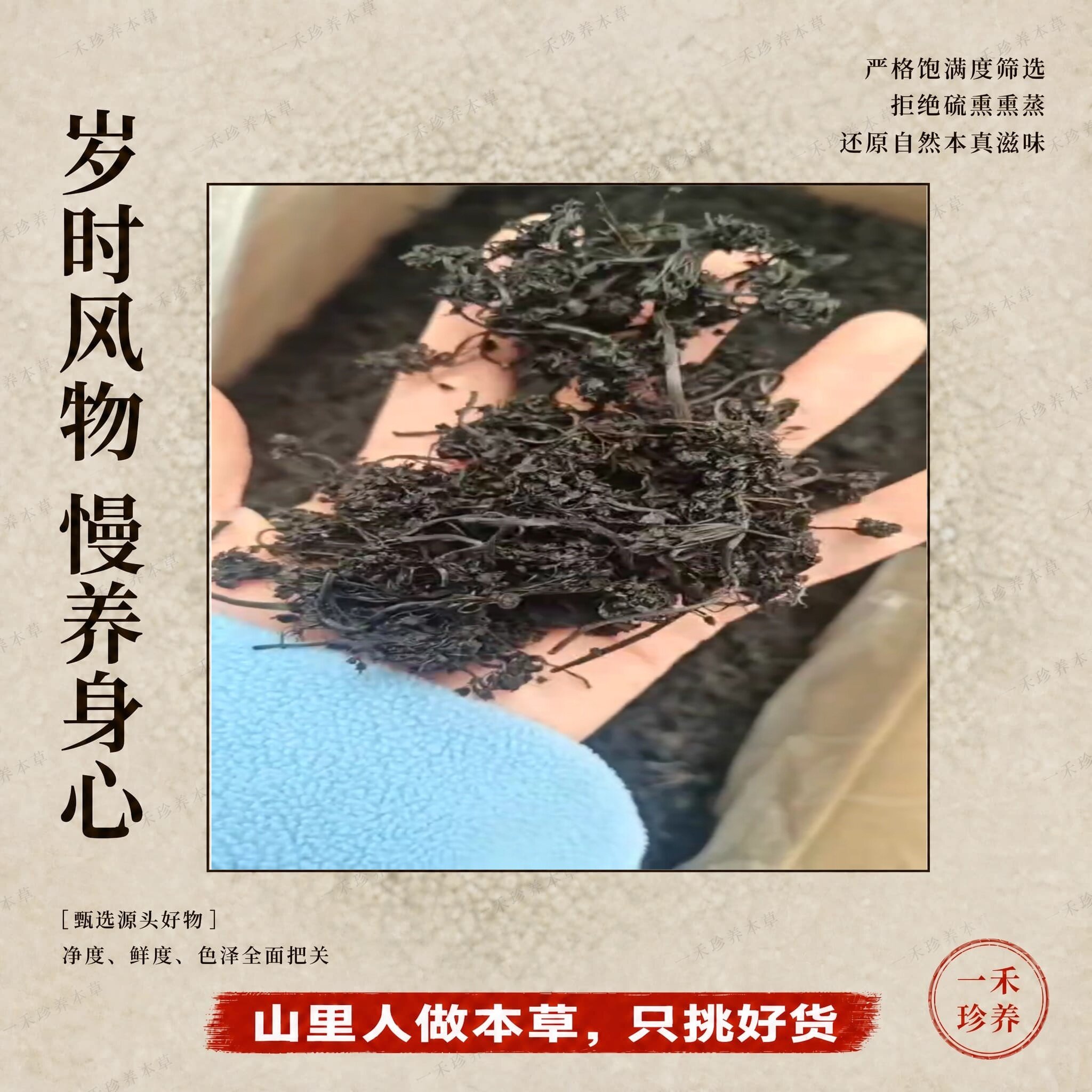 Flower黑参花】黑参蕊高皂苷长白山人参花黑参花干货熬夜泡水茶饮