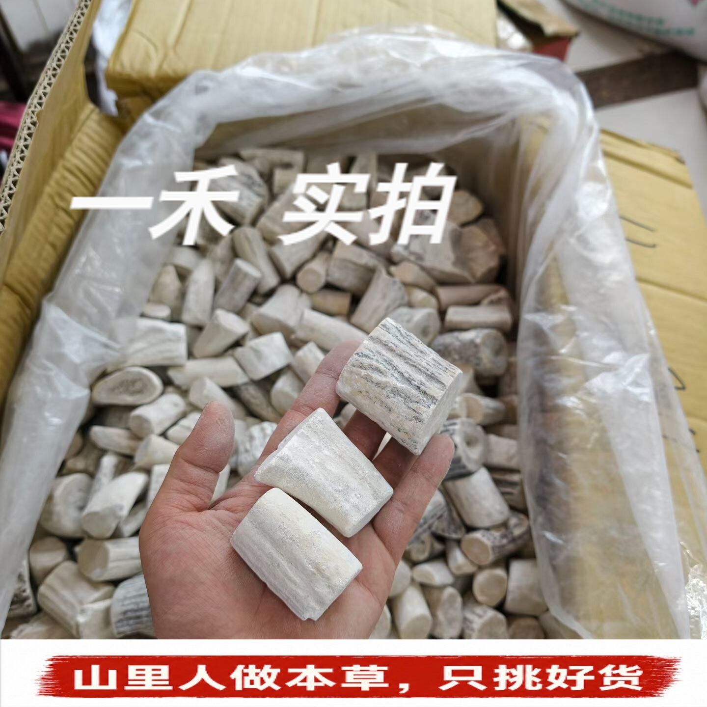 吉林马鹿角霜】精选大块手选白霜斫琴鹿角粉非统货中药材250g