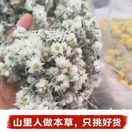 高海拔天山雪菊花茶250g冰绒花