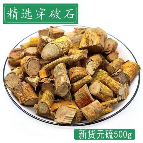 广西野外生穿破石九层皮中药材