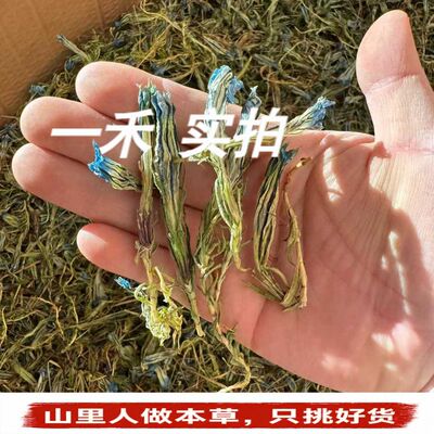 龙胆花乌山蓝月簪虞美人花茶250g