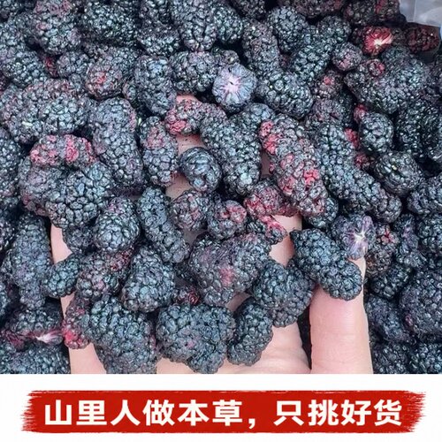 冻干原生黑桑椹大颗粒无沙无添加