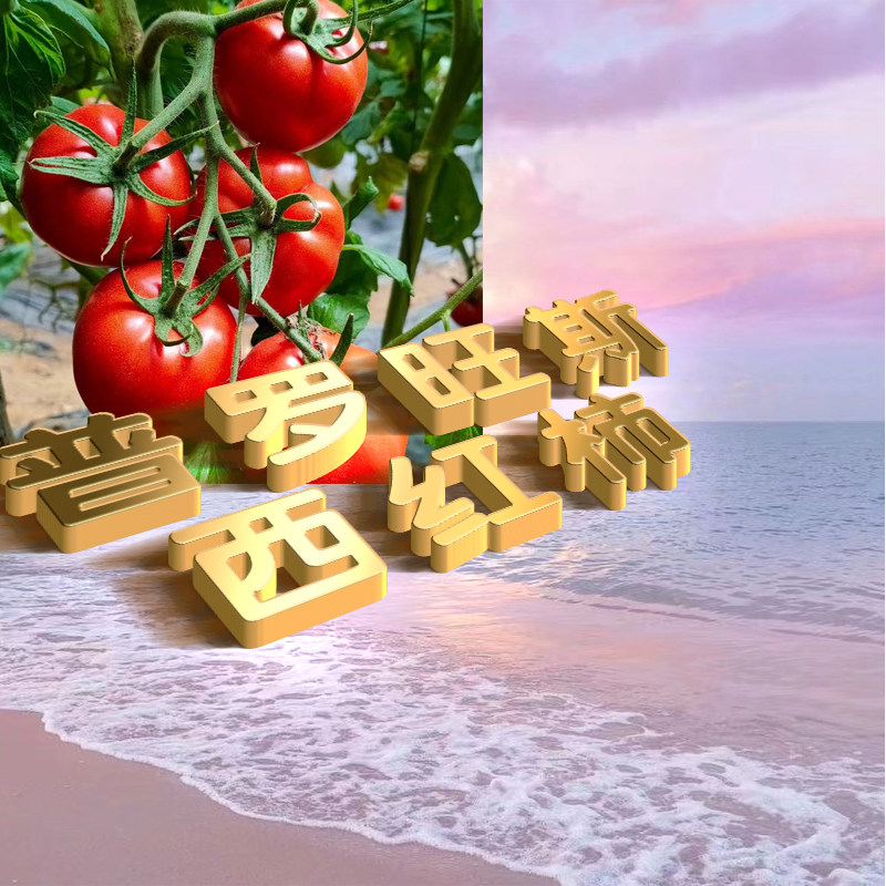 【果蟹集】薄皮沙瓤 是肉眼可见的红粉绵密 普罗旺斯番茄西红柿,水产肉类/新鲜蔬果/熟食,番茄,淘宝优惠券,粉丝福利购,淘宝优惠卷