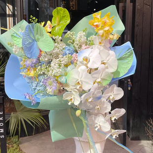 母亲节520北京鲜花同城速递蝴蝶兰丁香花束上海杭州广州深圳南京