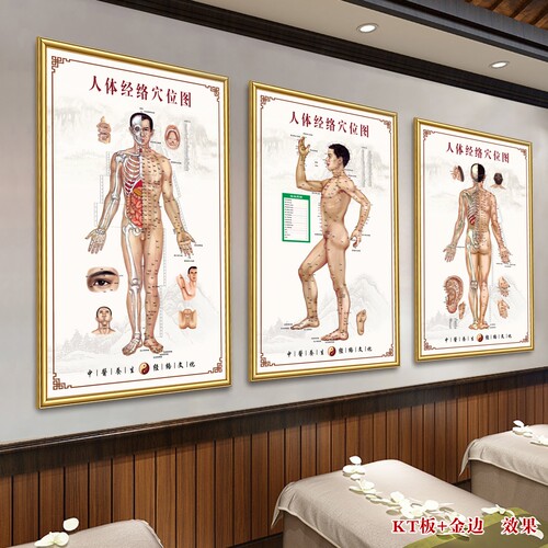 人体经络图足部穴位图针灸图海报