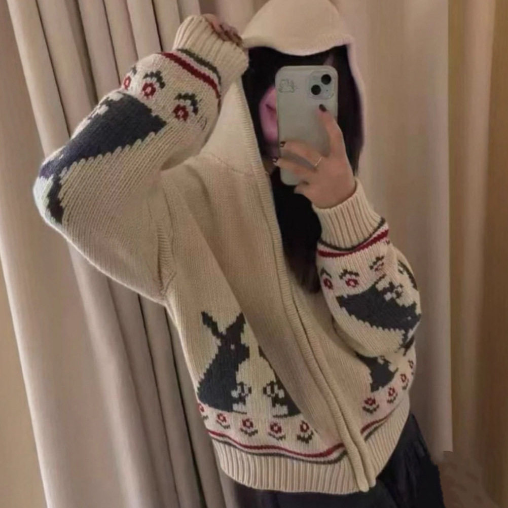 园园美衣韩代小兔子提花连帽毛衣