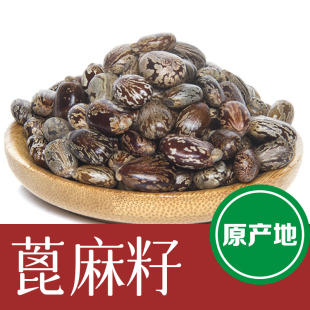 新货野生蓖麻子 蓖麻籽500克红大麻子中药材蓖麻仁 蓖麻种子