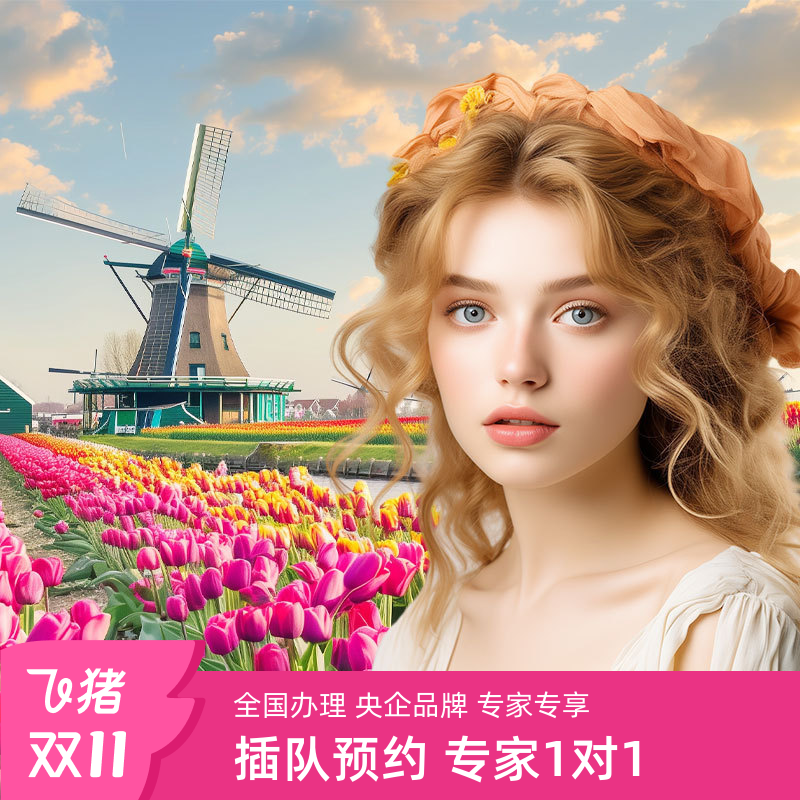 荷兰旅游签证全国办理