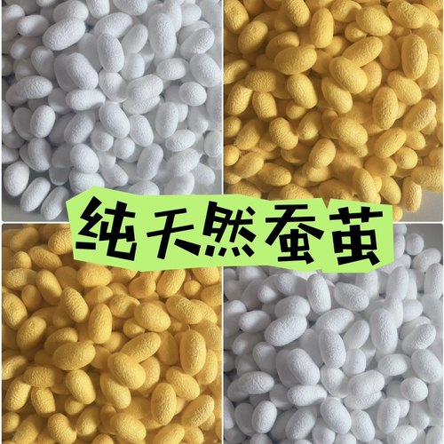天然桑蚕茧烘干完整带蚕蛹金色黄金茧学生手工DIY蚕丝扇抽丝