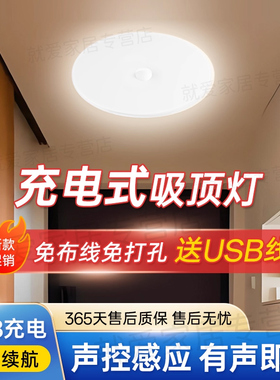 楼道充电声控灯入户门不插电声光控感应灯家用楼梯间免接线吸顶灯