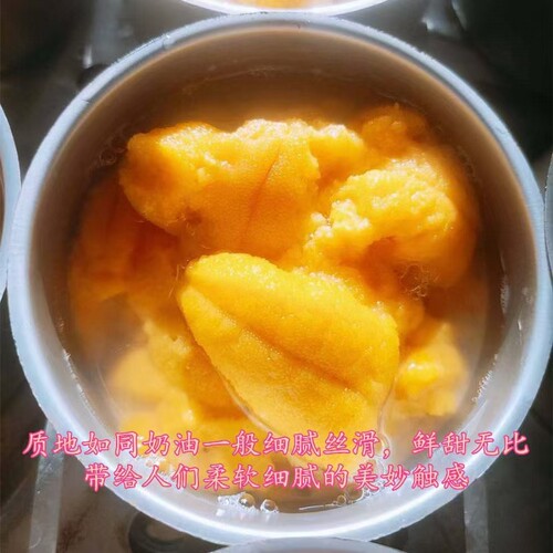 龙宴紫海胆罐头北隍岛深海水域