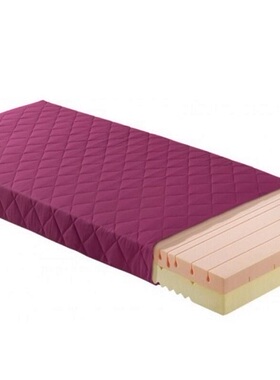 Paidi儿童护脊床垫 记忆棉1.2米非弹簧乳胶椰棕垫