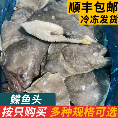 深海大鲽鱼头雅片碟鱼头
