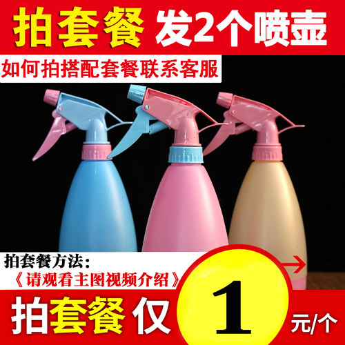浇花喷壶小喷水壶园艺洒水壶气压式喷雾器压力浇水喷500毫升