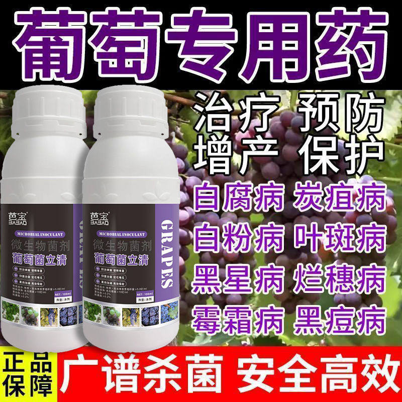 葡萄病全治葡萄专用杀菌剂微生物菌剂肥料霜霉灰黑痘白粉褐斑果腐