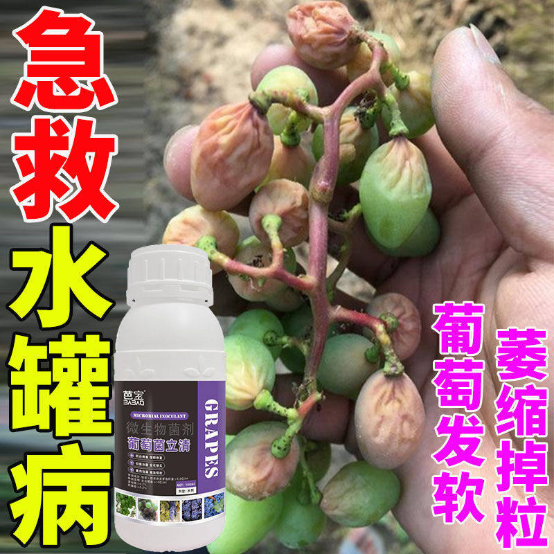 葡萄病全治葡萄专用杀菌剂微生物菌剂肥料霜霉灰黑痘白粉褐斑果腐