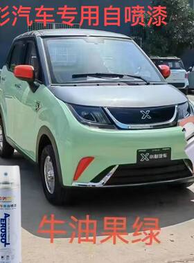 新款小彭四轮电动汽车新能源家用成人代步小型油电自喷漆调色油漆