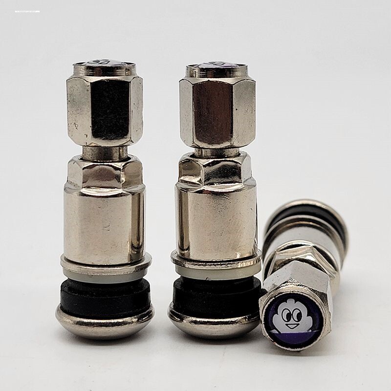 汽车不锈钢气门嘴防爆不锈钢不锈钢轮胎气嘴帽子真空胎气门嘴芯