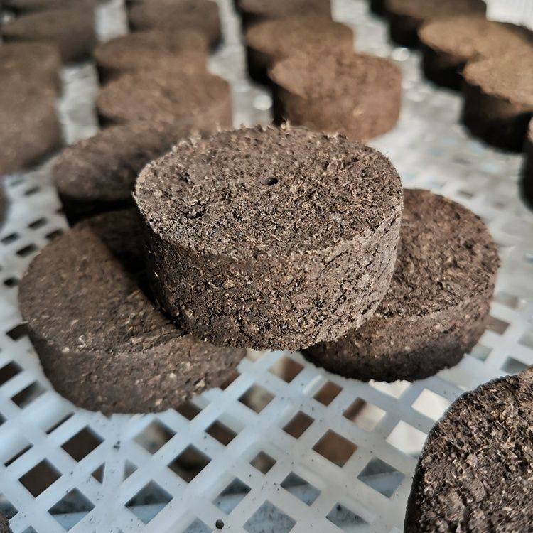 DIY水草定植坨基质营养土插种绿植水草造景5cm 7cm无需底砂水草泥,鲜花速递/花卉仿真/绿植园艺,海藻球,淘宝优惠券,粉丝福利购,淘宝优惠卷