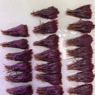 正宗趴地血红宫廷50棵水草打头草纯水下叶血红宫廷中后景现卖现剪