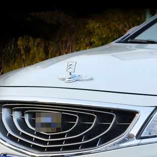 雪铁龙车标改装专用 C4L C5 C6爱丽丝世嘉c3xr机盖车标立标车标贴