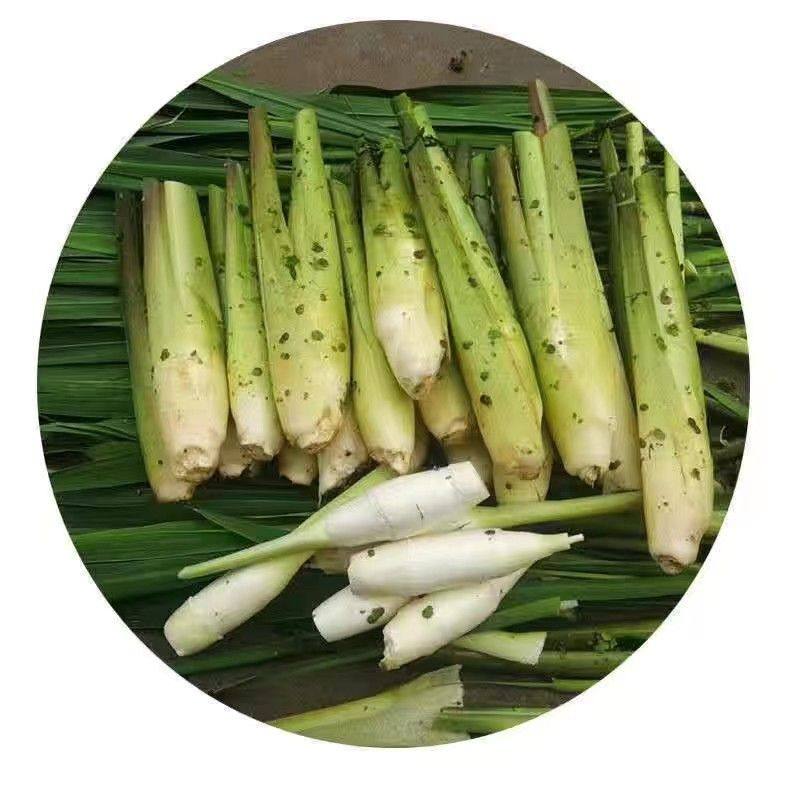 芝麻小浮萍紫背浮萍养龟养鱼虾水培浮萍水草小叶景观养鱼水质净化,鲜花速递/花卉仿真/绿植园艺,海藻球,淘宝优惠券,粉丝福利购,淘宝优惠卷