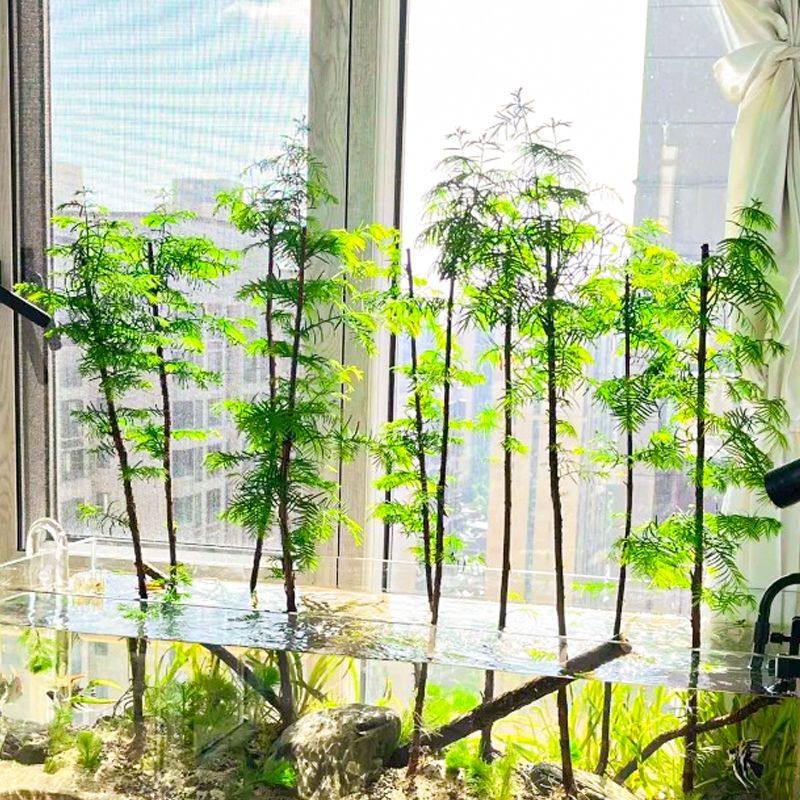 水杉水培造型盆景四季室内办公室好养活懒人绿植鱼缸造景水养植物,鲜花速递/花卉仿真/绿植园艺,海藻球,淘宝优惠券,粉丝福利购,淘宝优惠卷