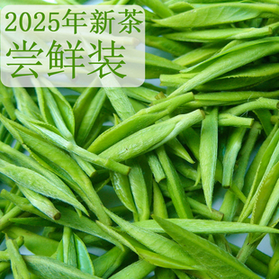 新茶尝鲜装散装绿茶青城山特产青城山雪竹、青城山雪芽