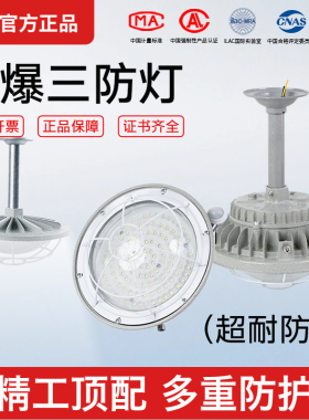 亚明国标LED防爆灯仓库厂房车间加油站隔爆IICT6三防水防尘照明灯