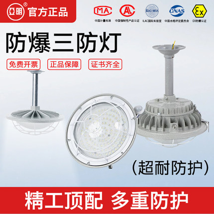 亚明国标LED防爆灯仓库厂房车间加油站隔爆IICT6三防水防尘照明灯