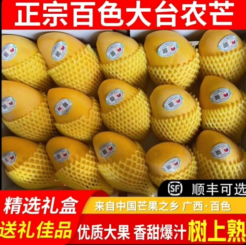 广西树上熟大台农芒礼盒10斤顺丰