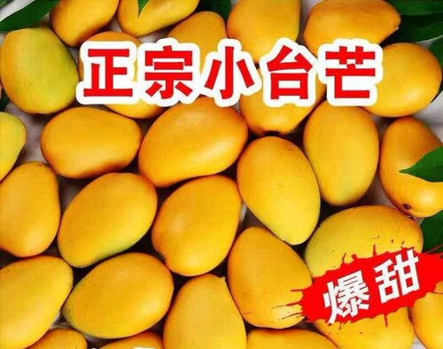 小台农鸡蛋芒价格 小台农鸡蛋芒图片 星期三
