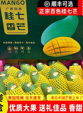 广西百色桂七芒礼盒10斤可顺丰