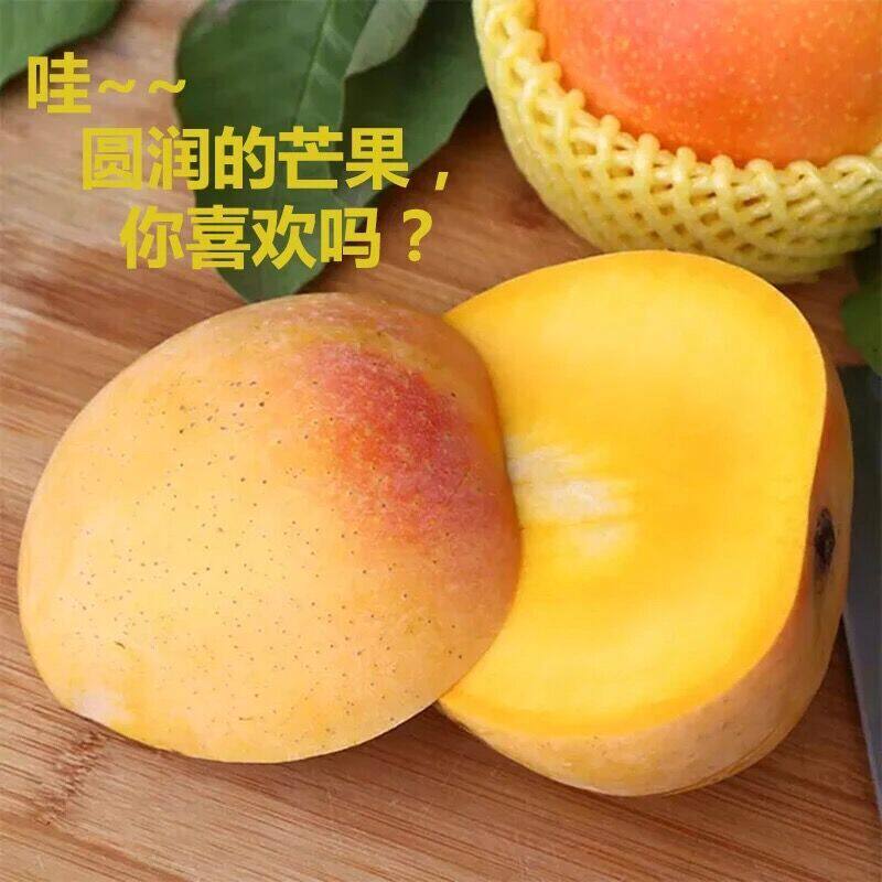 广西百色芒果精品澳芒整箱10斤礼盒装树上熟澳芒新鲜当季热带芒果